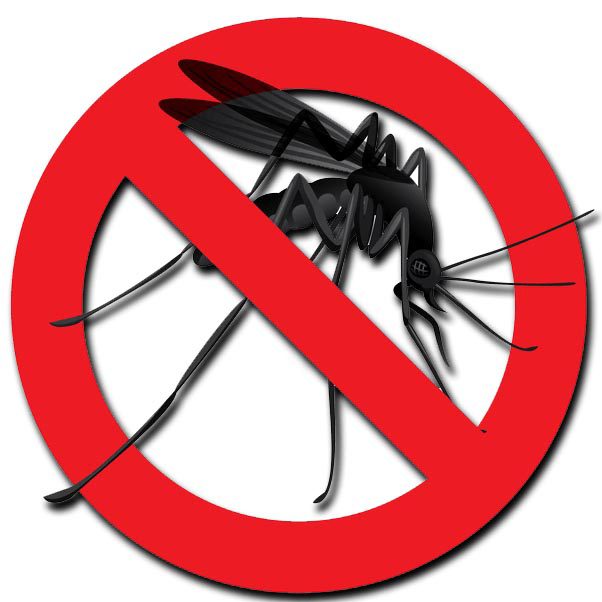 get rid of mosquitoes