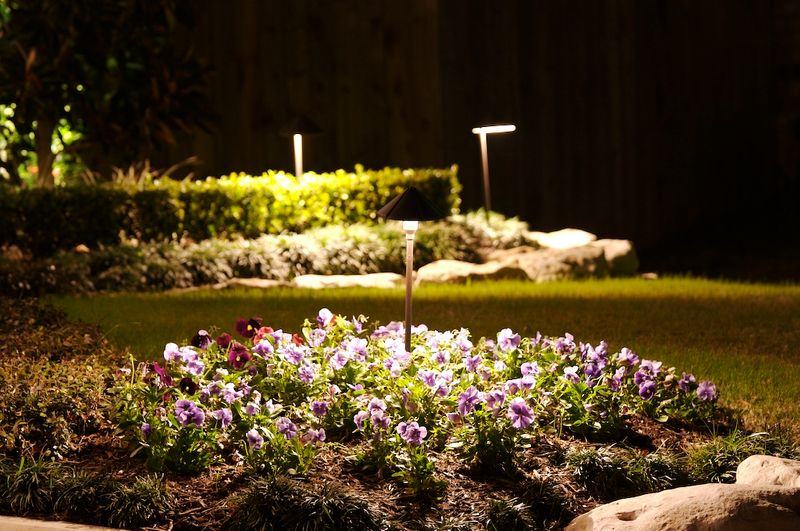 flower bed with lights
