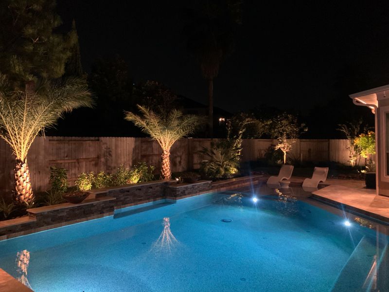 pool with palm trees lit up