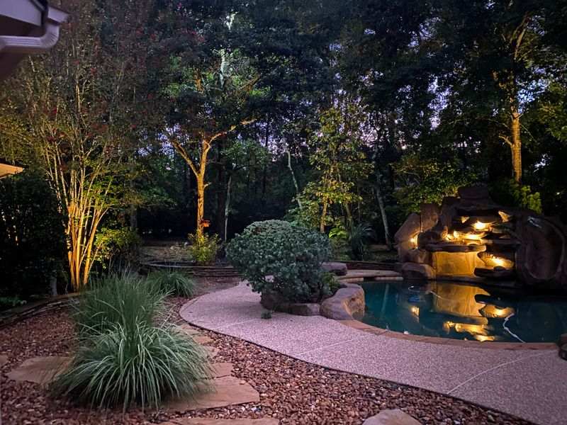 backyard with pool and plants lit up with outdoor lights