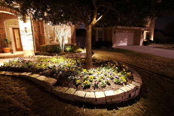 Beautiful outdoor lighting in a garden