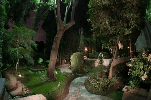 Landscape Moon lighting