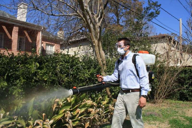 zika mosquito control houston